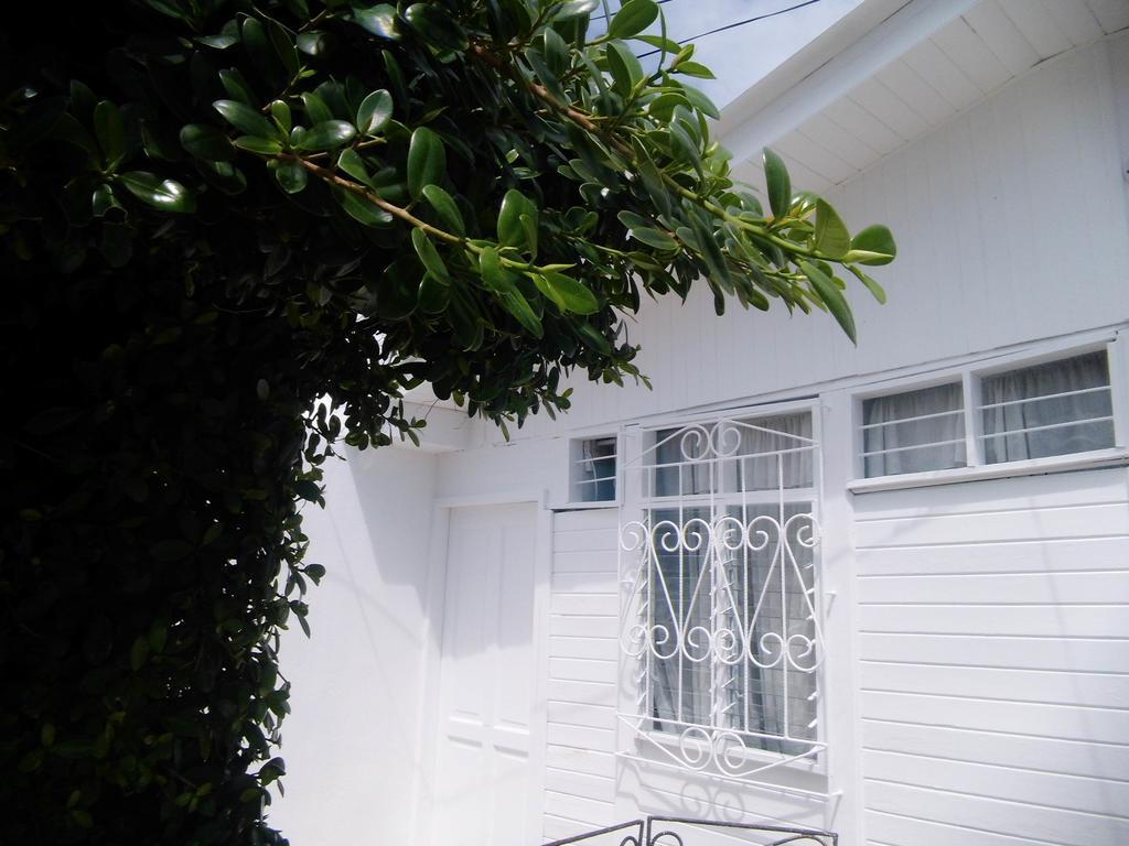 Bight View Hotel San Andrés Екстериор снимка